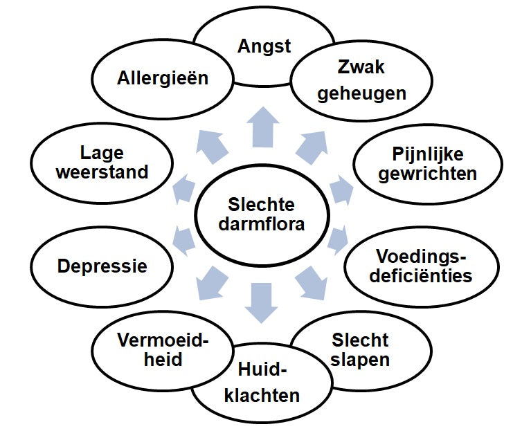 Schema: een slechte darmflora in het midden, met daaromheen angst, zwak geheugen, pijnlijke gewrichten, voedingsdeficiënties, slecht slapen, huidklachten, vermoeidheid, depressie, lage weerstand en allergieën